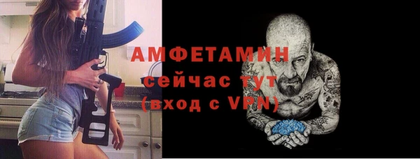 индика Балабаново
