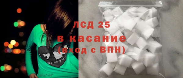 индика Балабаново