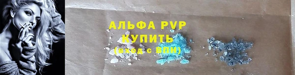 индика Балабаново