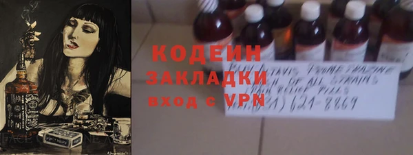 индика Балабаново