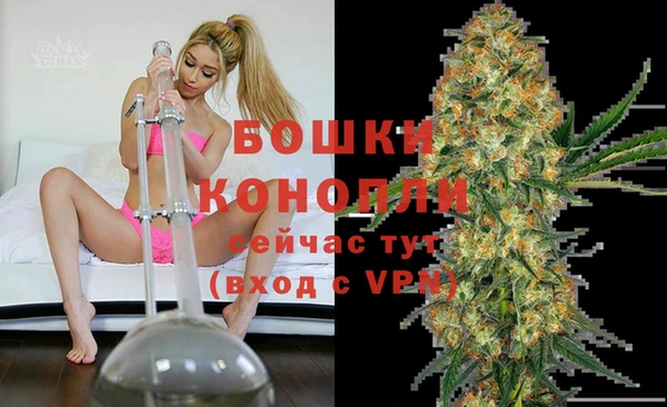эйфоретик Баксан