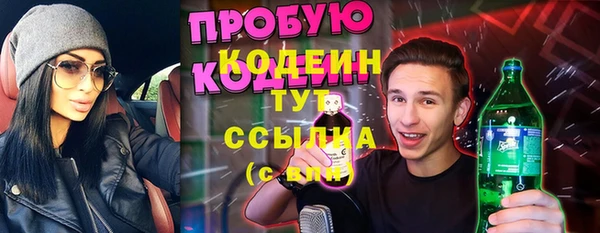 индика Балабаново