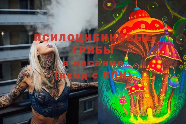 индика Балабаново