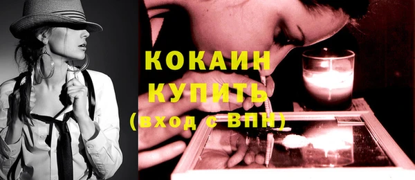 индика Балабаново