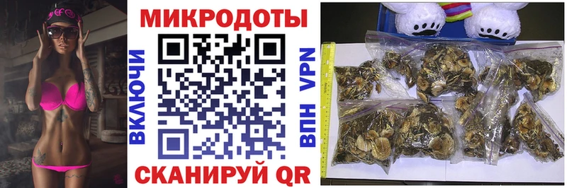 KRAKEN как войти  Балабаново  Псилоцибиновые грибы Psilocybe 